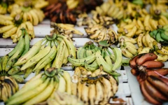 Loại trái cây phổ biến nhất thế giới đối mặt nguy cơ biến mất