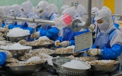 Mỹ công bố mức áp thuế chống bán phá giá đối với tôm Việt Nam