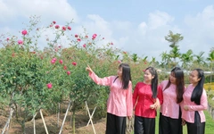 Du lịch miền Tây bội thu dịp Tết, mỗi nơi hút khách một cách riêng