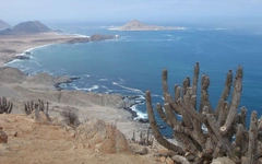 Vì sao nhiều sa mạc lại giáp đại dương?