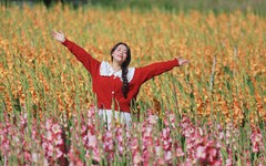 Cánh đồng hoa lay ơn Đà Lạt nở rộ, dân tình rủ nhau đến check-in