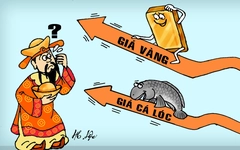 Cá lóc sợ nhất Thần Tài