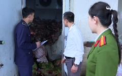 Thu giữ gần 6 tấn đuôi, chân, gân trâu, bò bốc mùi hôi thối