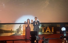 Mỹ Tâm: Có lúc tôi và Mai Tài Phến tranh cãi dữ lắm