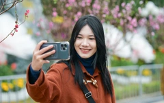 Đến Lạng Sơn ngắm hoa đào xứ Lạng