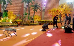 Sản vật Phương Nam ra Bắc trong hành trình du Xuân