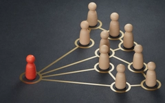 Đám đông có thể sai, vì sao con người vẫn nghe theo? Nghiên cứu hé lộ lý do