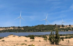 Dự án điện gió hơn 48.000 tỉ đồng tại Gia Lai lộ diện nhà đầu tư