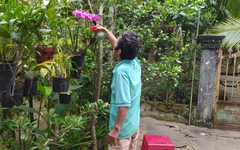 Bài tham dự sân chơi viết Chuyến xe mùa xuân: May mắn làm sao khi Tết vẫn còn nơi để trở về