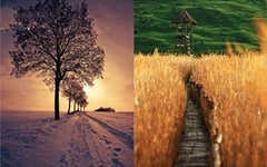 Quiz: Bước ngoặt bạn đang đối mặt trong cuộc đời là gì?