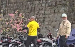 Người chặt cành mai anh đào tại nhà công vụ ở Đà Lạt nói gì khi công an mời làm việc?