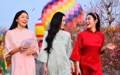 Lễ hội Xuân Cần Giờ tại Vinhomes Green Paradise có mai trăm tuổi, có khinh khí cầu