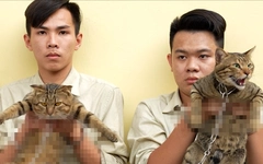 Bắt nhóm dùng cá chiên làm mồi nhử bẫy trộm mèo ở xã Đông Thạnh, TP.HCM