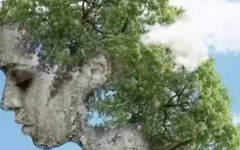 Quiz: Ảo ảnh tiết lộ bạn thiếu tự tin hay sống rất kỷ luật?