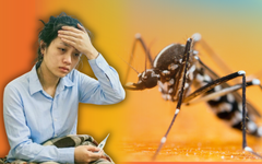 Điều nguy hiểm ít người biết về bệnh sốt xuất huyết Dengue đang bùng phát