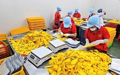 Giá dầu tăng, doanh nghiệp kiến nghị biện pháp giảm áp lực chi phí