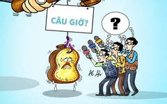 AFC khiến người hâm mộ bóng đá bị 'việt vị'