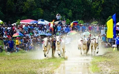 An Giang đặt mục tiêu doanh thu du lịch hơn trăm ngàn tỉ đồng