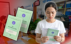 Làm việc tự do có thể ‘đóng nhờ' bảo hiểm xã hội tại công ty người quen không?