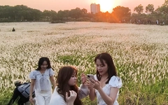 Đồng cỏ tại làng đại học ở TP.HCM thu hút nhiều bạn trẻ 'săn' hoàng hôn