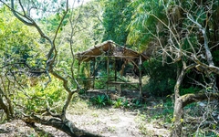 Cảnh hoang tàn bên trong vườn chim quý trăm năm ở Bạc Liêu