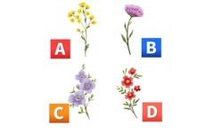 Quiz: 10 năm tới, bạn sẽ đạt được thành quả gì?