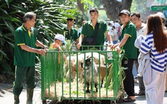 Mừng sinh nhật 162 năm Thảo cầm viên, “fan cứng” hào hứng lên đồ trẩy hội