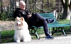 Chính sách dành cho thú cưng khiến cuộc đua thị trưởng Paris trở nên gay cấn