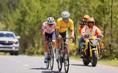 Cúp truyền hình TP.HCM 2026 chào đón hàng loạt tân binh nước ngoài chất lượng