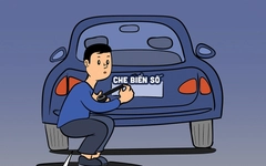 Hổ phụ sinh hổ tử: Kẻ tám lạng người nửa cân