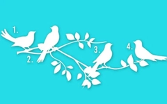 Quiz: Bạn sở hữu trí tuệ sắc bén, tố chất lãnh đạo?