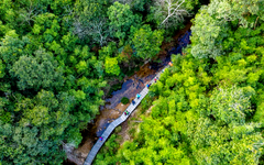 Việt Nam nhận khoảng 1.900 tỉ đồng để chi trả cho nỗ lực giảm phát thải từ rừng