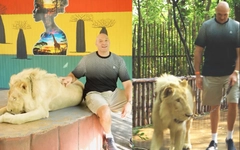 Võ sĩ quyền anh Tyson Fury dắt sư tử đi dạo 'nắn gân' Makhmudov