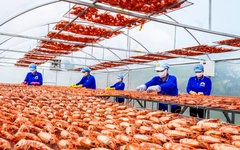 Cà Mau thực hiện ‘5 thông’ trong phát triển doanh nghiệp