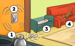 Quiz: Bạn điềm đạm hay nóng tính?