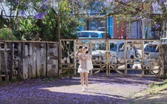 Đến phố núi Đà Lạt tận hưởng sự lãng mạn, bình yên mùa phượng tím