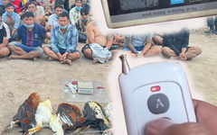 Lộ chiêu trò dùng cân điện tử điều khiển từ xa để gian lận hạng cân gà đá