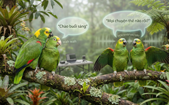 Vì sao một số loài chim có thể 'nói' tiếng người?