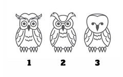 Quiz: Bạn mạnh mẽ, dũng cảm hay là người thích nghi nhanh?