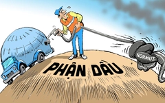 Phận dầu, dầu vậy cũng dầu...