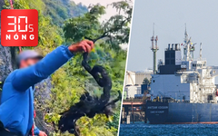 Bản tin 30s Nóng: Săn cây muội hồng, ngã giá giữa rừng; Tàu Nga chở dầu cập cảng Cuba