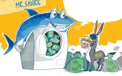 Mr. Shark và Mr. Bịp tuy hai mà một