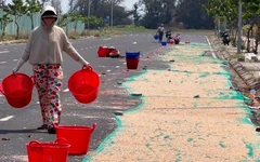 Ven biển Đắk Lắk vào mùa phơi ruốc