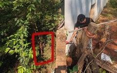 Hồ sơ lô 'đất vàng' bán đấu giá ở Măng Đen rộng 7m, nhưng đo thực tế chưa đầy... 6m