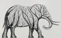 Quiz: Bạn sắp gặp được quý nhân trong công việc?