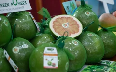 Những loại trái cây ngon và tốt cho người muốn giảm cân