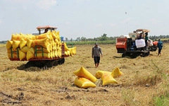 Gạo Việt đang 'bỏ rơi' thị trường thuế suất 0%?