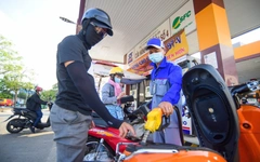 Concert cá nhân, giá cả thị trường ‘chiếm sóng’ tìm kiếm của người Việt