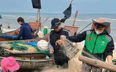 Biển cạn dần nguồn lợi, khởi động ‘hành lang xanh’ nối các khu bảo tồn