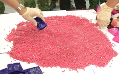 Vận chuyển 24.000 viên hồng phiến để lấy 30 triệu đồng tiền công, 2 thanh niên bị bắt